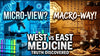 What Is TCM? A Beginner's Guide to TCM Fundamentals