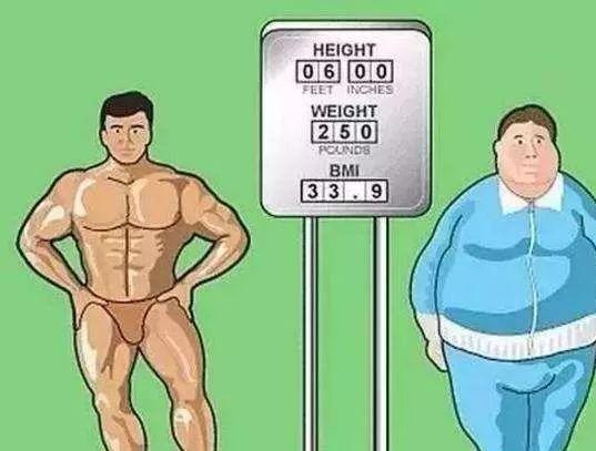 Test how much fat you have on your body