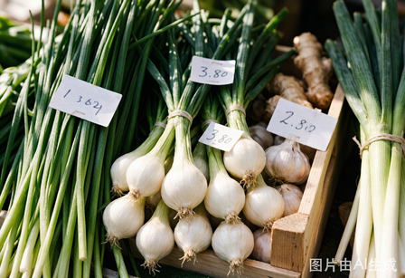 Five TCM Vegetables for Liver Wellness | Laxne