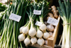Five TCM Vegetables for Liver Wellness | Laxne