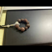 Zhinian Baihe Yurong Eastern Lily Elixir Strand Bracelet