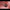 Zhinian Meigui Changqing The Rose Embrace Wellness Bracelet