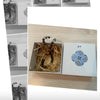 Eastern Aesthetic Herbal Wellness Jewelry